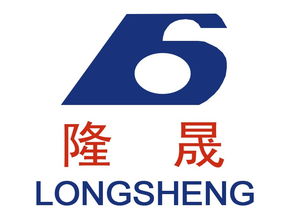 蘭州隆晟包裝食品機(jī)械與雪鵬科技 專注食品機(jī)械，賦能行業(yè)高效生產(chǎn)